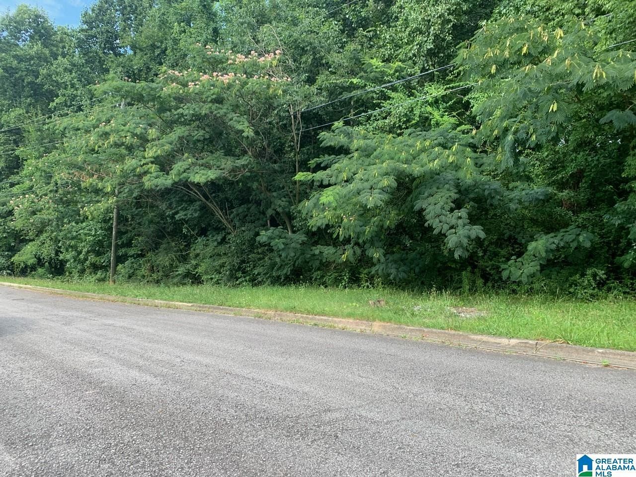 0.62 Acres of Residential Land for Sale in Birmingham, Alabama