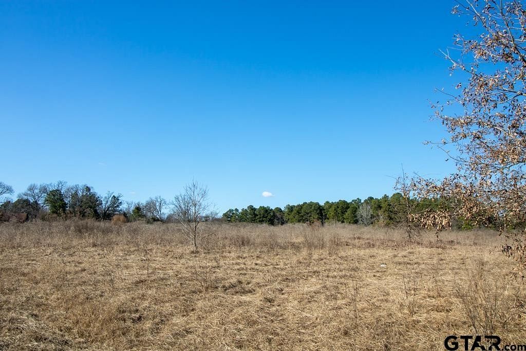 93 Acres of Mixed-Use Land for Sale in Winona, Texas