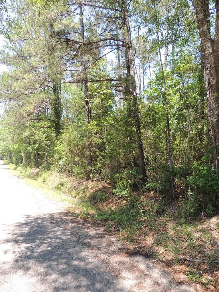 15.1 Acres of Recreational Land for Sale in Carriere, Mississippi