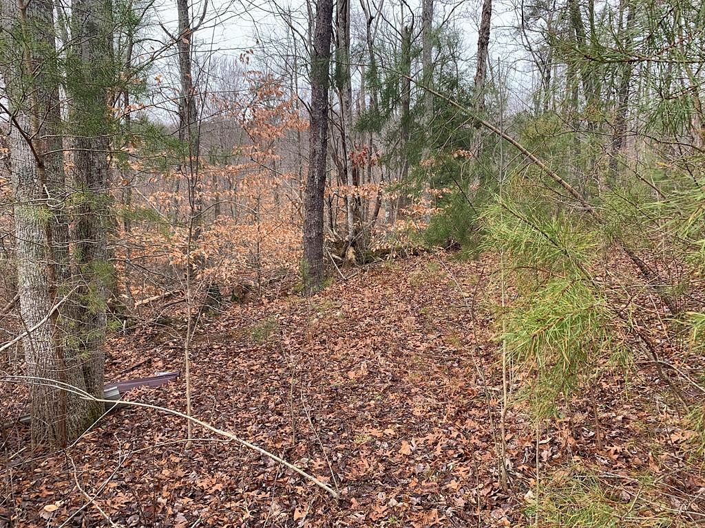 4 Acres of Residential Land for Sale in Spencer, Tennessee