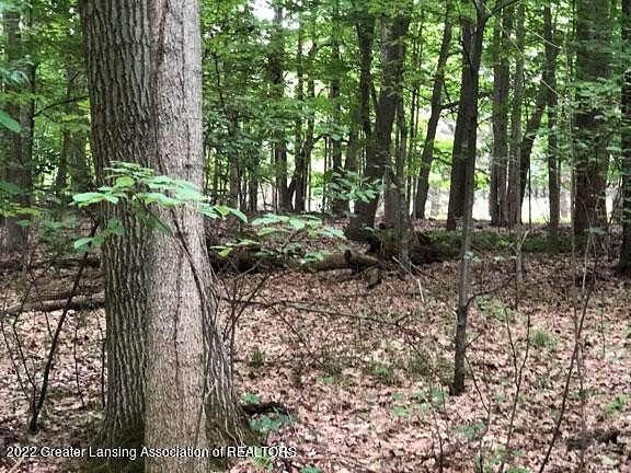 2.44 Acres of Residential Land for Sale in DeWitt, Michigan