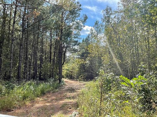 6 Acres of Land for Sale in St. George, South Carolina
