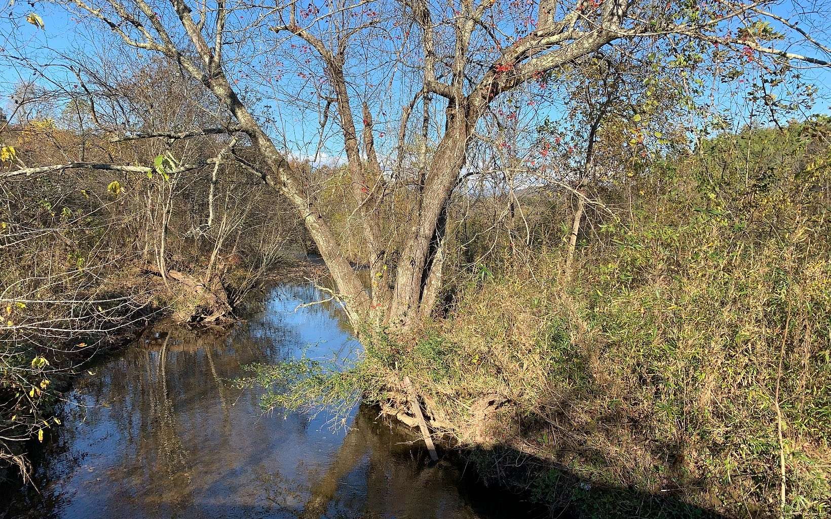 1.6 Acres of Residential Land for Sale in Warne, North Carolina