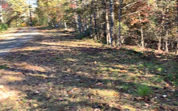 1.6 Acres of Residential Land for Sale in Warne, North Carolina