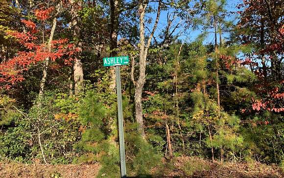 1.56 Acres of Residential Land for Sale in Warne, North Carolina ...