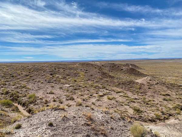 40 Acres of Recreational Land for Sale in Joseph City, Arizona