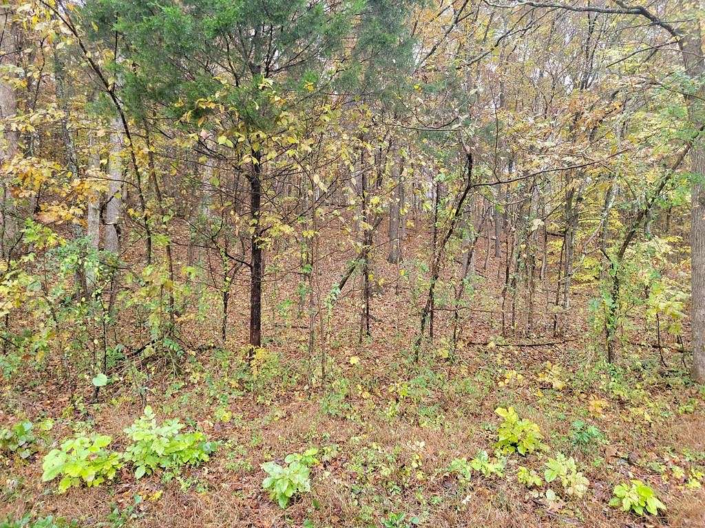 0.91 Acres of Residential Land for Sale in Big Sandy, Tennessee