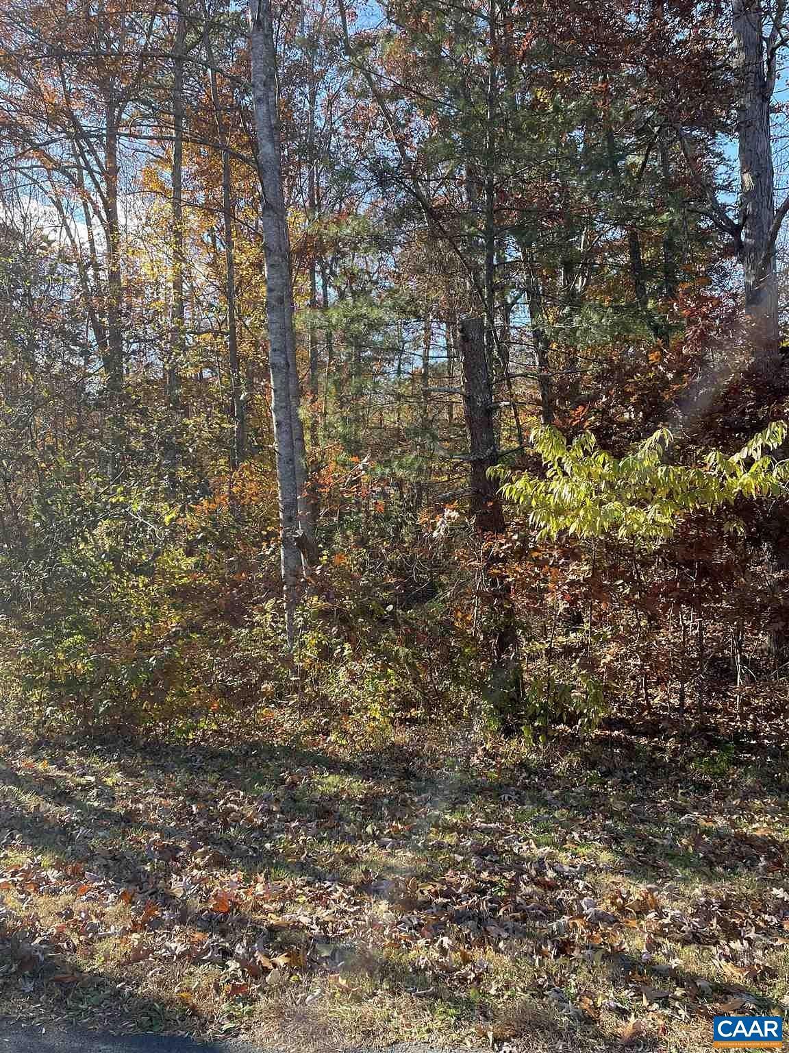 0.33 Acres of Residential Land for Sale in Palmyra, Virginia