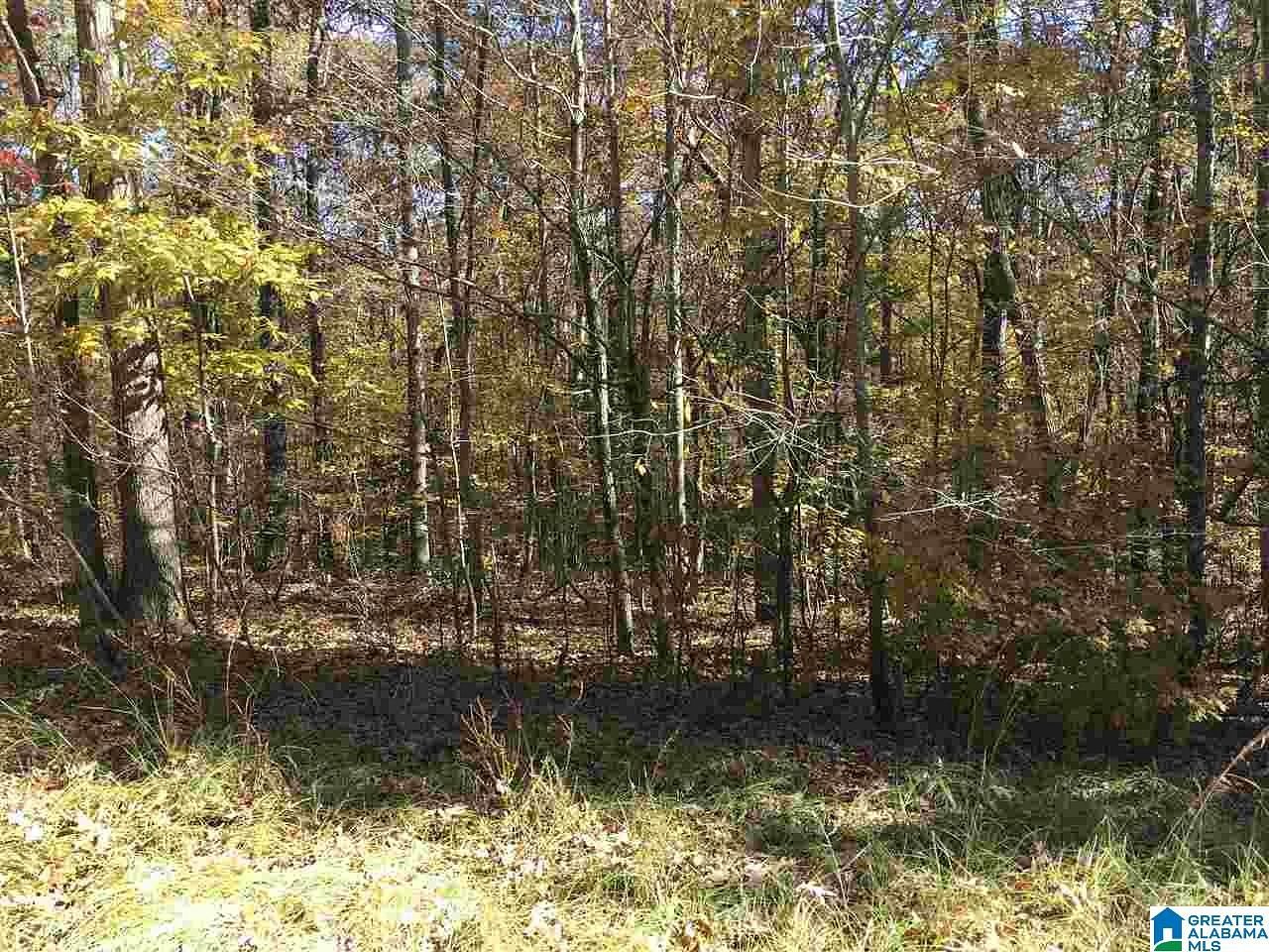 1.5 Acres of Land for Sale in Ashville, Alabama