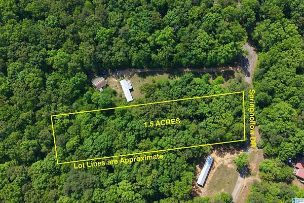 1.5 Acres of Land for Sale in Ashville, Alabama