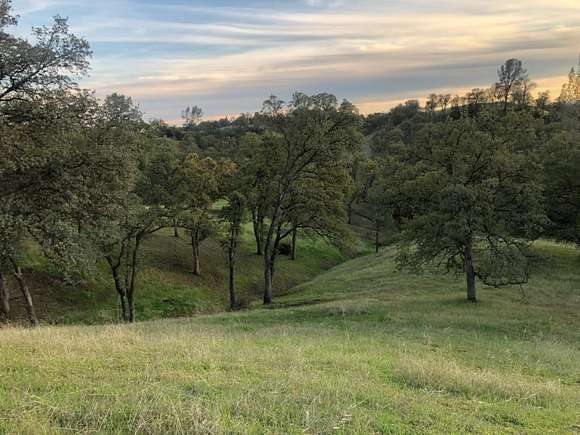 20.5 Acres of Land for Sale in Red Bluff, California