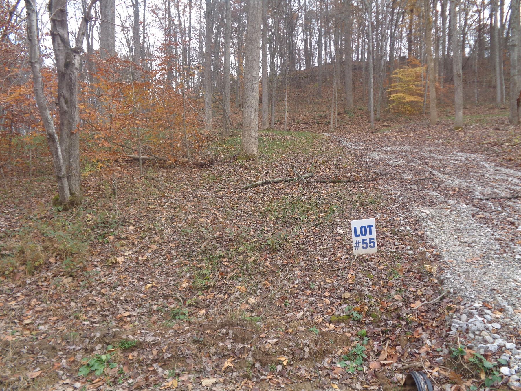 0.5 Acres of Residential Land for Sale in East Bernstadt, Kentucky