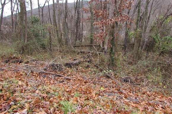 0.77 Acres of Residential Land for Sale in Covington, Virginia