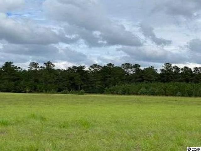 219 Acres of Agricultural Land for Sale in Dillon, South Carolina