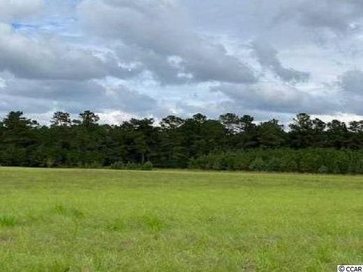 219 Acres of Agricultural Land for Sale in Dillon, South Carolina