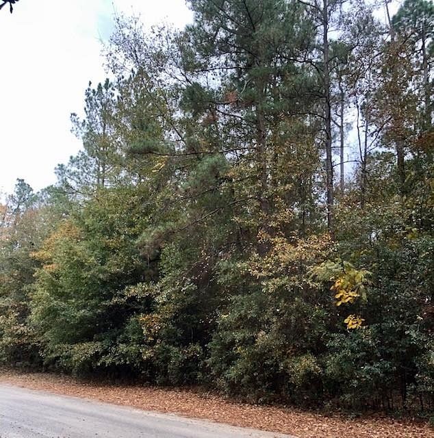 1 Acre of Residential Land for Sale in Williston, South Carolina