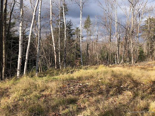 40 Acres of Land for Sale in Peru, Maine