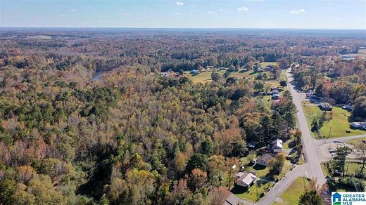 11 Acres of Land for Sale in Jemison, Alabama