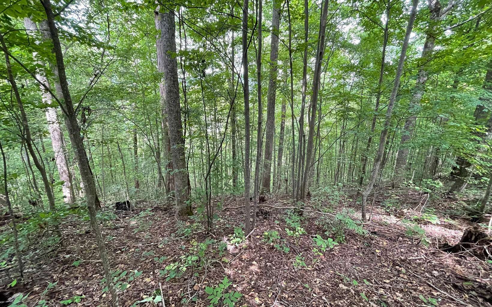 1.68 Acres of Residential Land for Sale in Hiawassee, Georgia