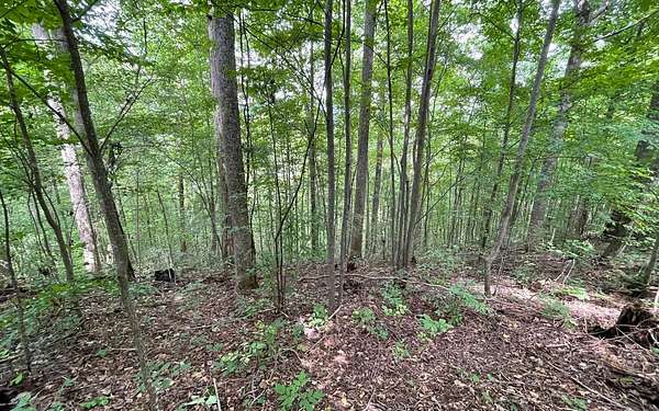 1.68 Acres of Residential Land for Sale in Hiawassee, Georgia
