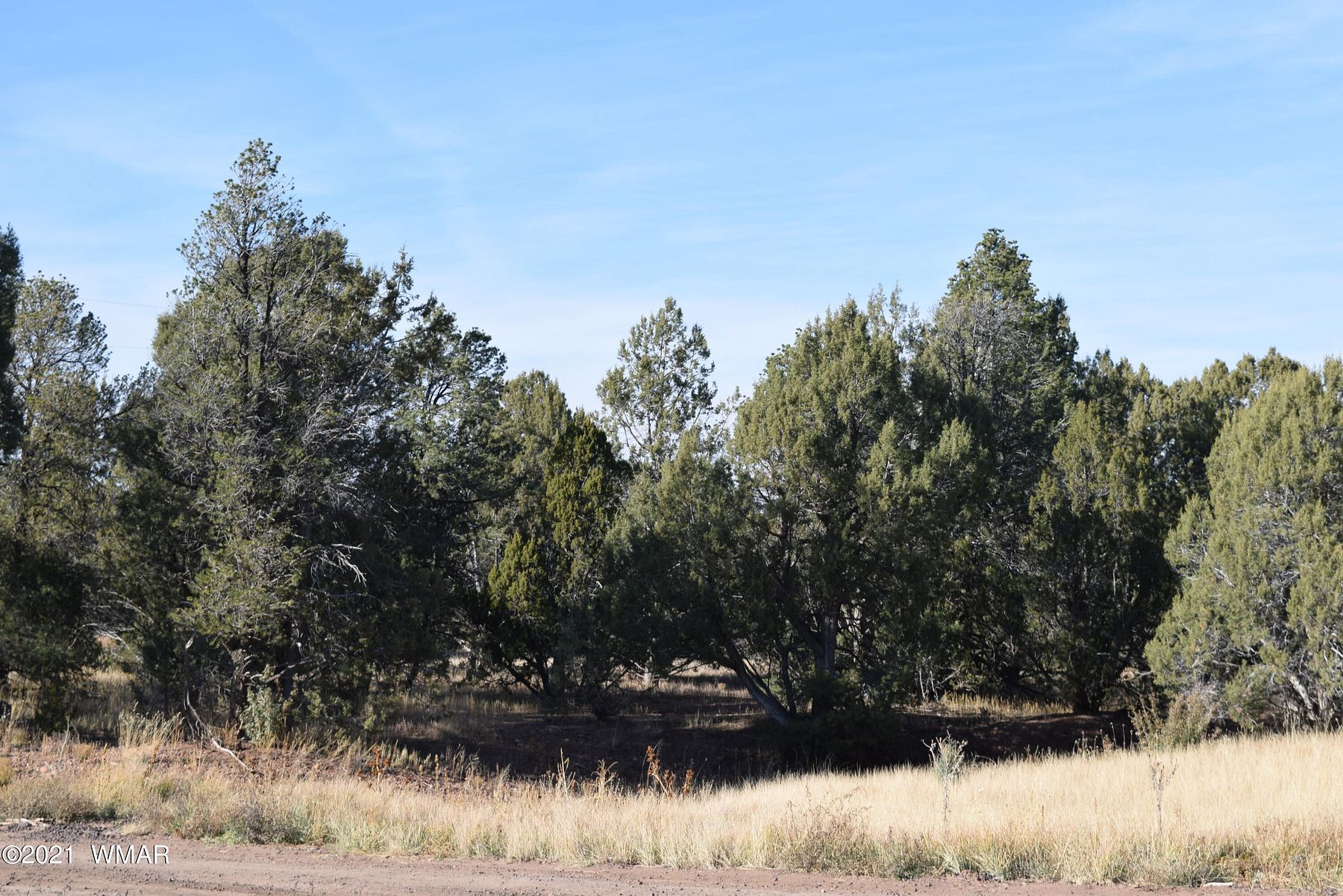 1.2 Acres of Residential Land for Sale in Clay Springs, Arizona