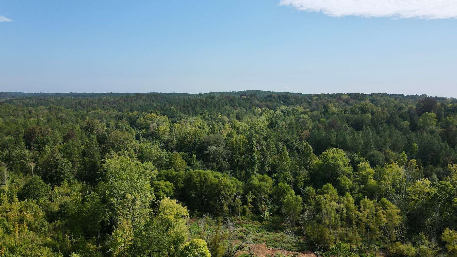 212 Acres of Recreational Land for Sale in Sharon, South Carolina