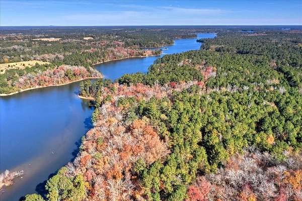 145 Acres of Recreational Land & Farm for Sale in Lincolnton, Georgia