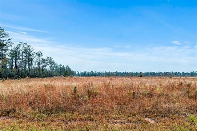 7.4 Acres of Residential Land for Sale in Longville, Louisiana