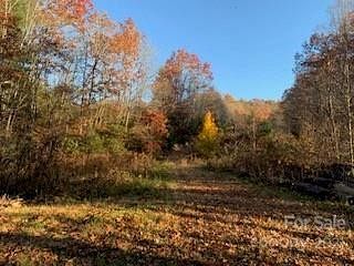 20 Acres of Land for Sale in Hendersonville, North Carolina