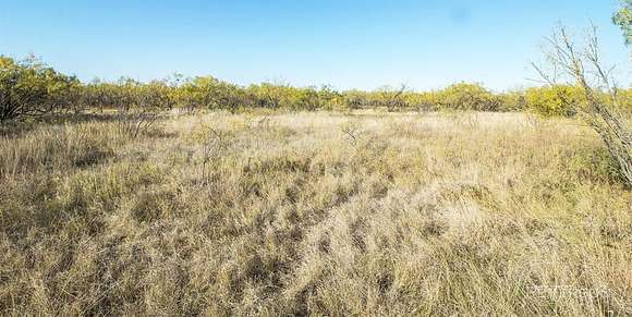 20 Acres of Agricultural Land for Sale in Abilene, Texas