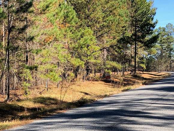 5 Acres of Residential Land for Sale in Lyons, Georgia