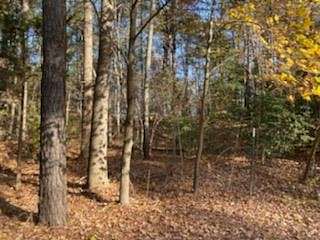 2.14 Acres of Land for Sale in New Church, Virginia