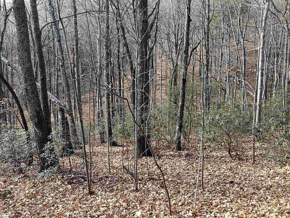 4.1 Acres of Residential Land for Sale in Travelers Rest, South Carolina