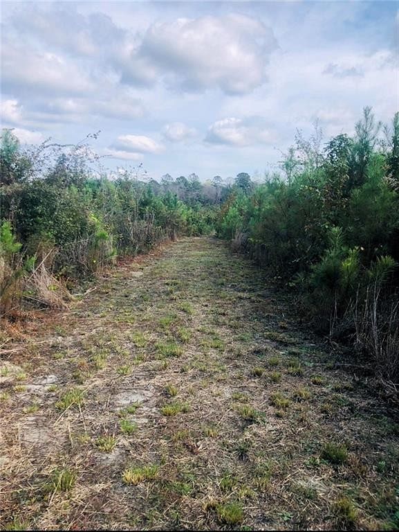33 Acres of Land for Sale in Stockton, Alabama