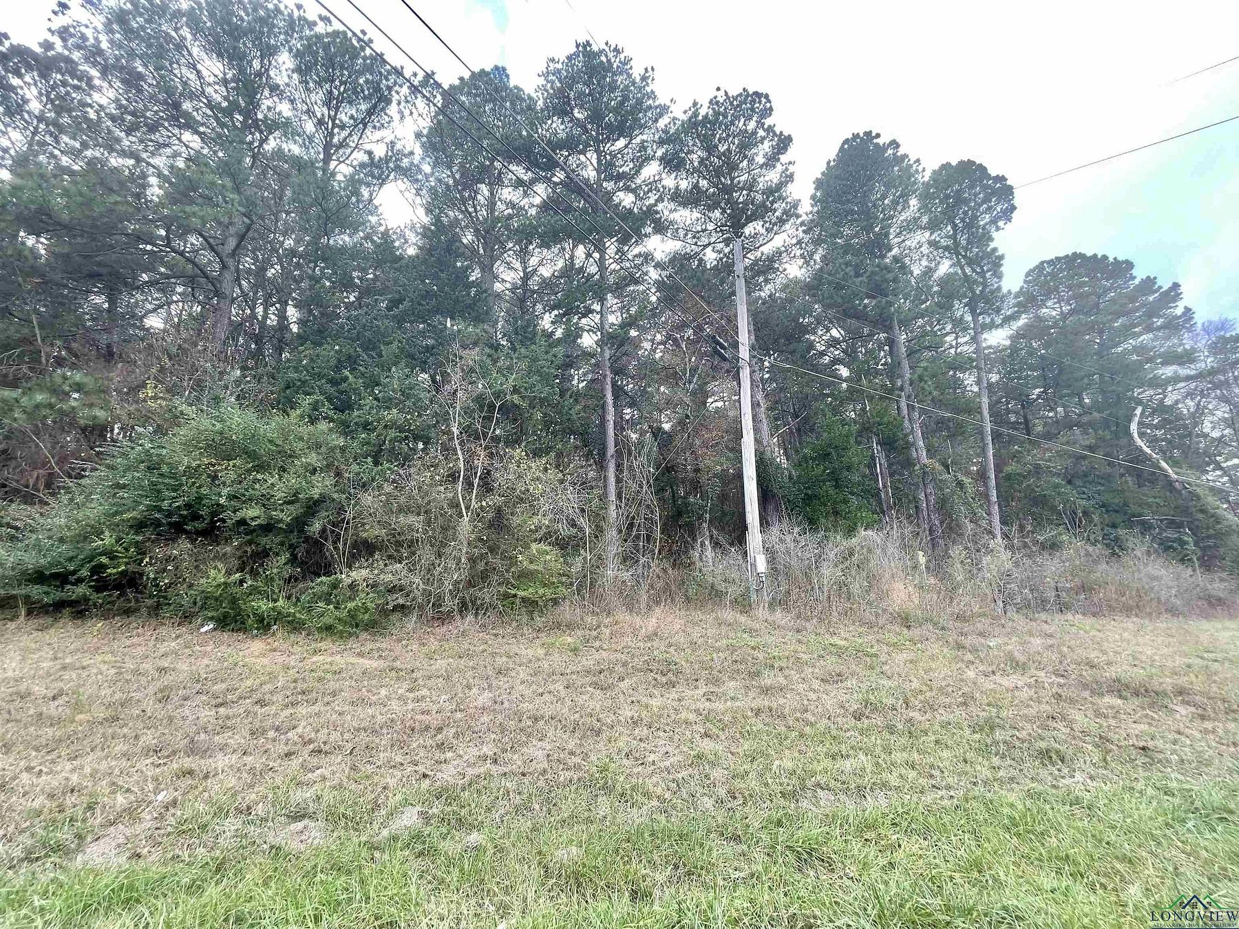 0.5 Acres of Land for Sale in Daingerfield, Texas