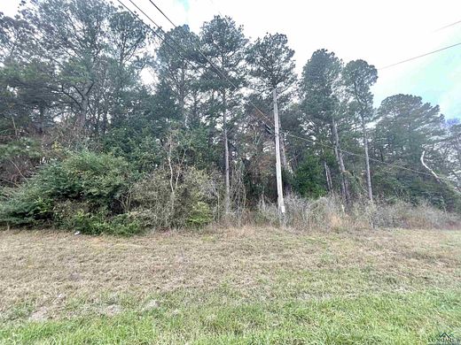 0.503 Acres of Land for Sale in Daingerfield, Texas