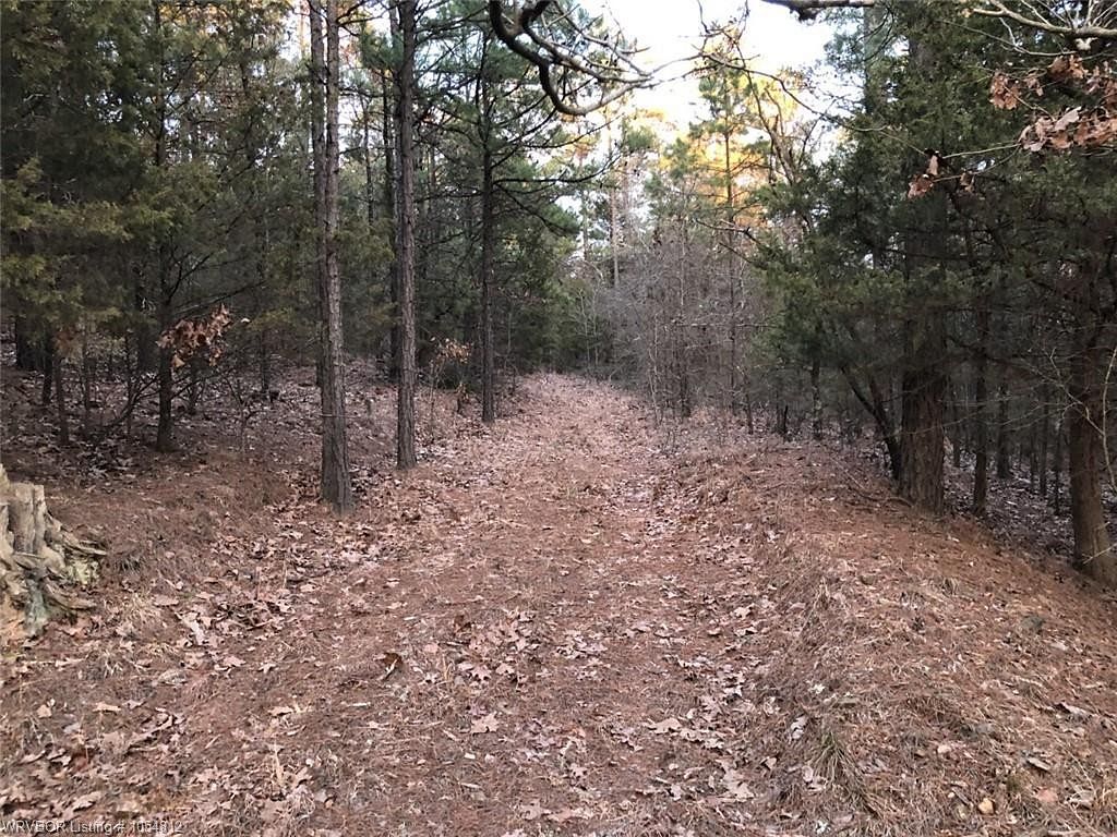 38 Acres of Recreational Land for Sale in Booneville, Arkansas