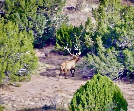 2,447 Acres of Recreational Land for Sale in Branson, Colorado