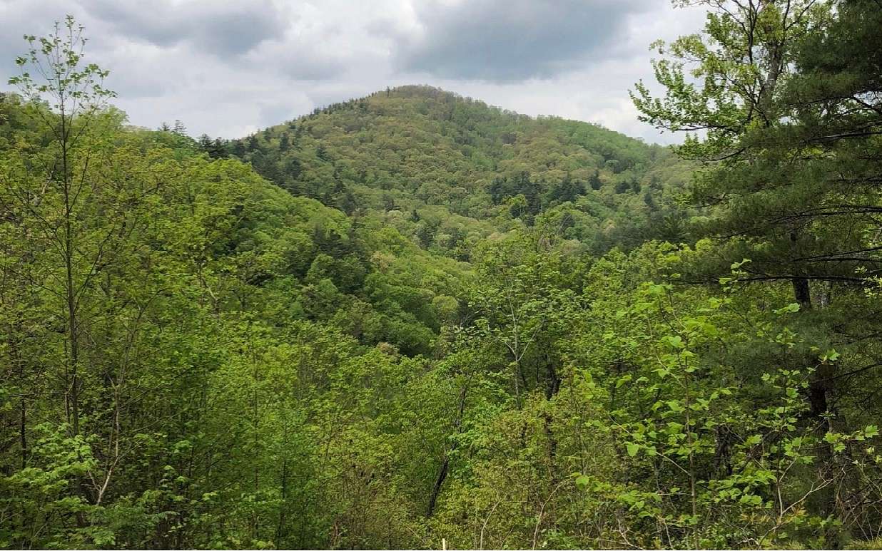 3.7 Acres of Residential Land for Sale in Blairsville, Georgia