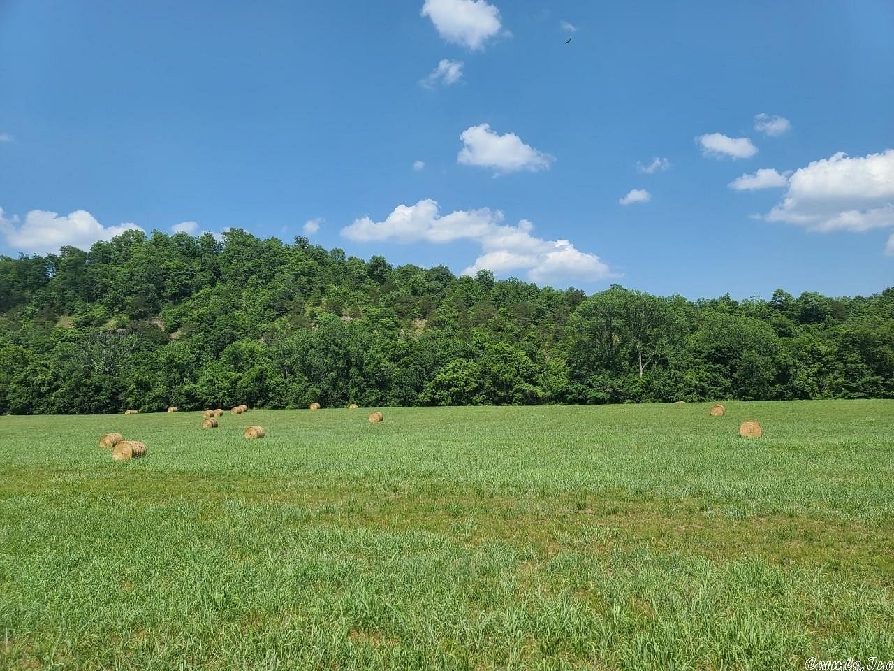0.78 Acres of Residential Land for Sale in Batesville, Arkansas