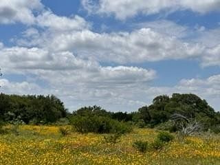 23 Acres of Recreational Land for Sale in Brownwood, Texas