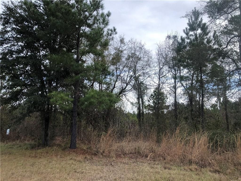 0.57 Acres of Residential Land for Sale in Brunswick, Georgia