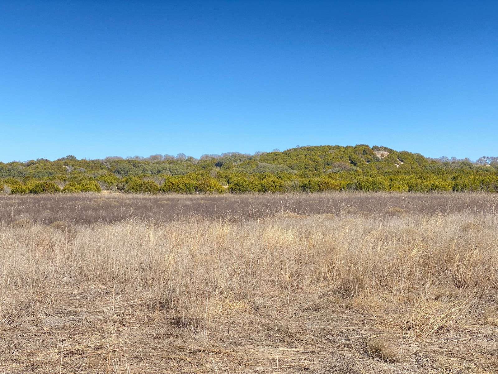 11 Acres of Land for Sale in Hamilton, Texas