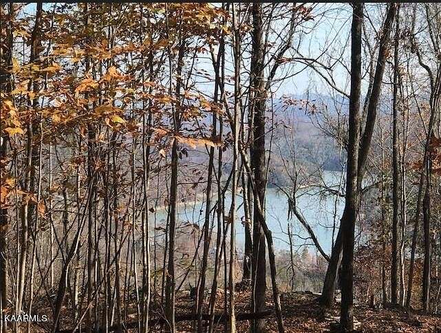 7.3 Acres of Residential Land for Sale in New Tazewell, Tennessee