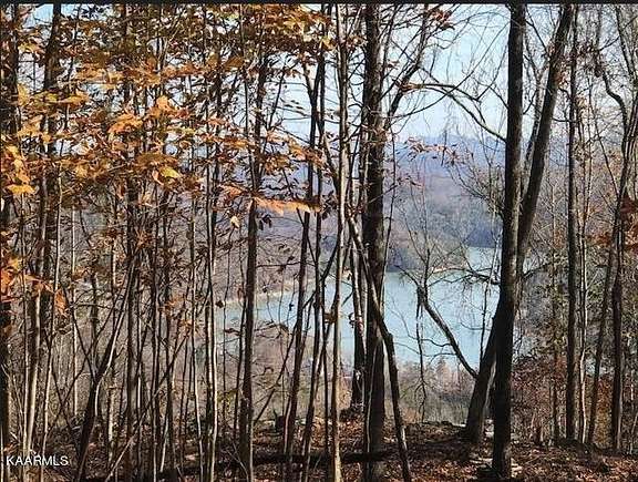 7.3 Acres of Residential Land for Sale in New Tazewell, Tennessee