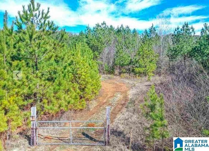 57 Acres of Land for Sale in Springville, Alabama