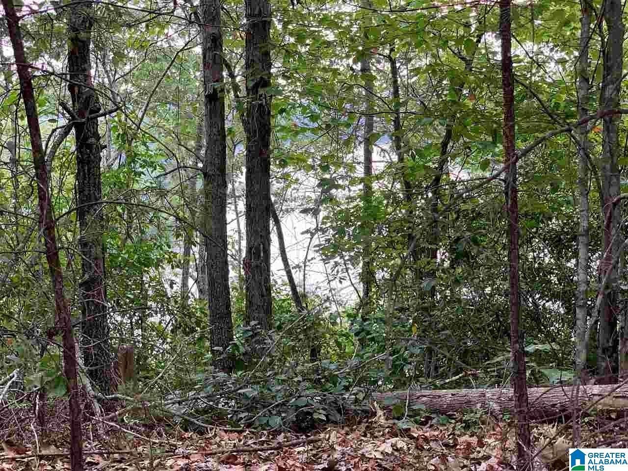 8.9 Acres of Residential Land for Sale in Adger, Alabama