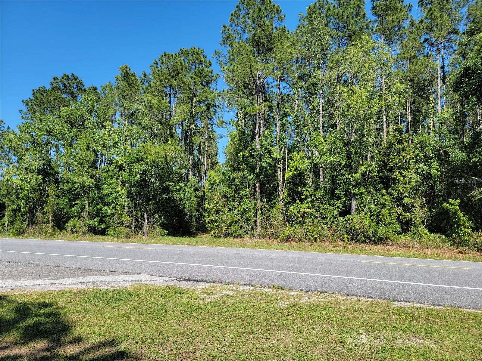20 Acres of Agricultural Land for Sale in Trenton, Florida