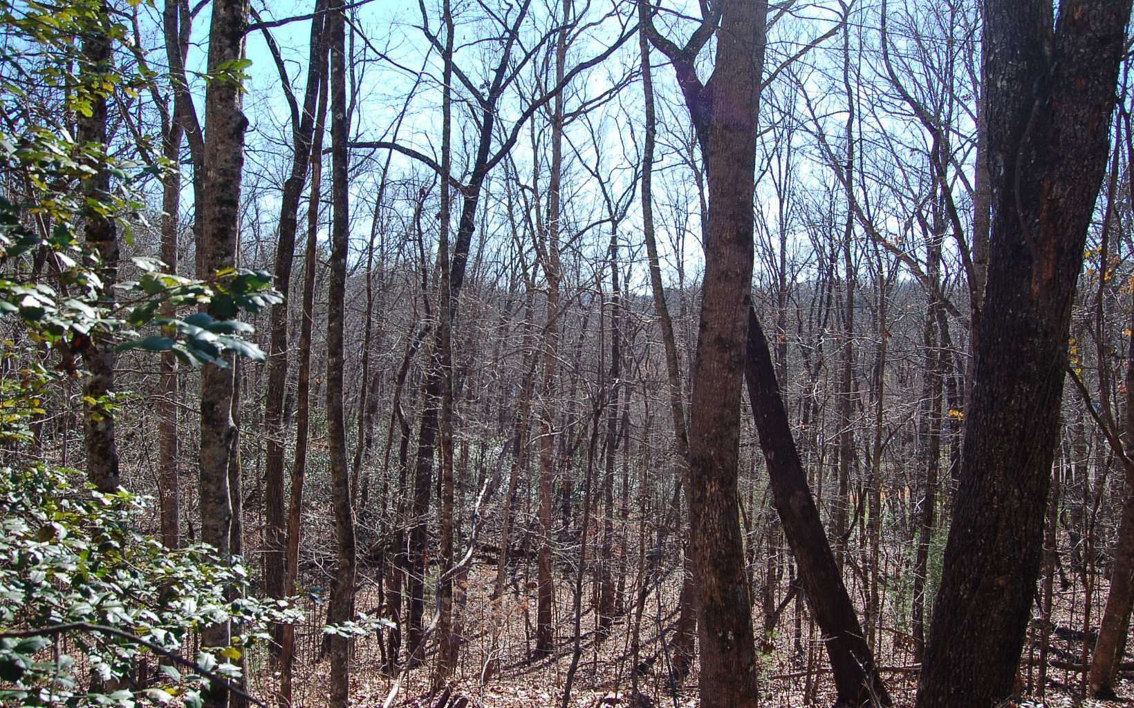 1.8 Acres of Land for Sale in Hayesville, North Carolina