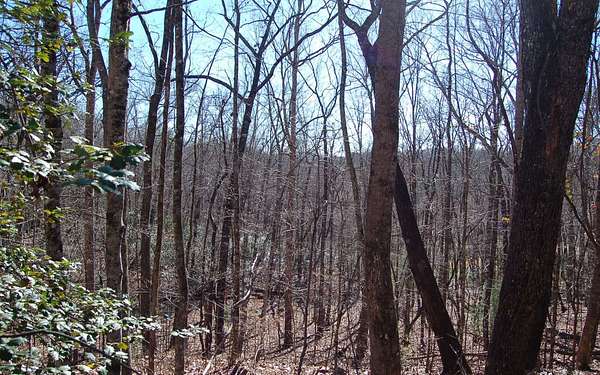 1.8 Acres of Land for Sale in Hayesville, North Carolina